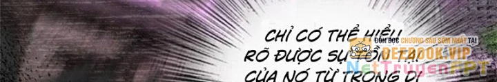 Thả Vu Nữ Đó Ra Chapter 620 - 20