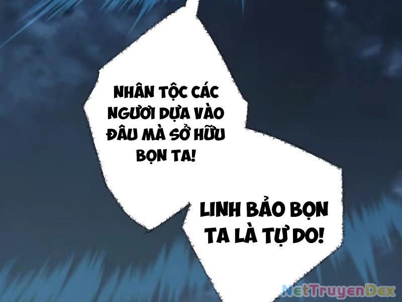 Đại Thừa Kỳ Mới Có Nghịch Tập Hệ Thống Chapter 38 - 42