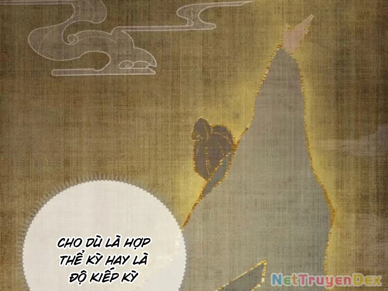 Đại Thừa Kỳ Mới Có Nghịch Tập Hệ Thống Chapter 38 - 83