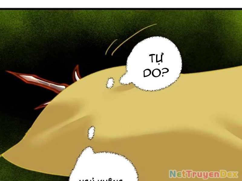 Đại Thừa Kỳ Mới Có Nghịch Tập Hệ Thống Chapter 38 - 116