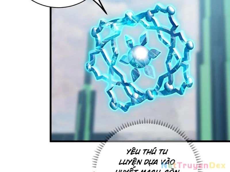 Đại Thừa Kỳ Mới Có Nghịch Tập Hệ Thống Chapter 44 - 138