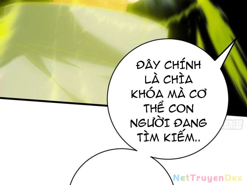 Đại Thừa Kỳ Mới Có Nghịch Tập Hệ Thống Chapter 44 - 146
