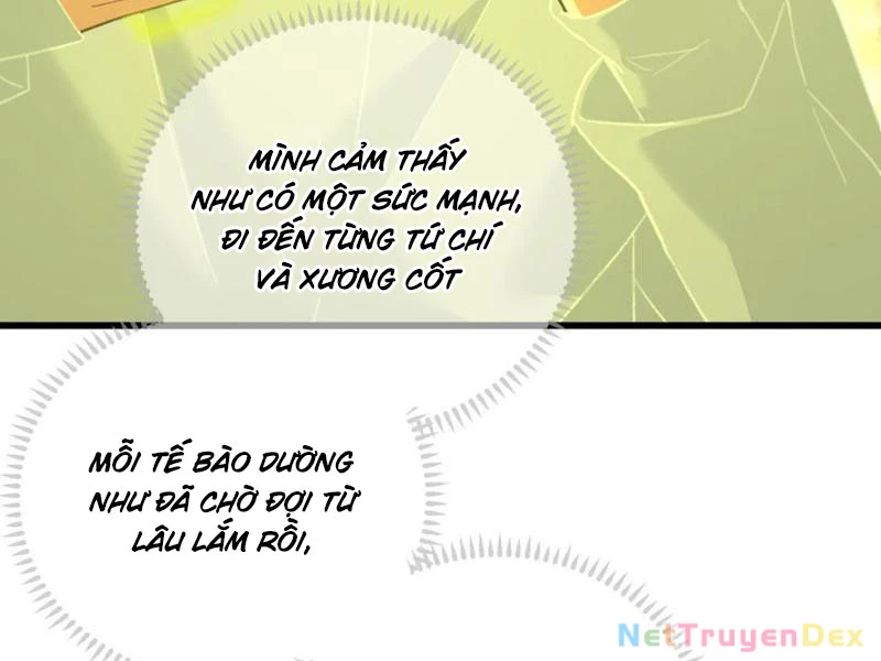 Đại Thừa Kỳ Mới Có Nghịch Tập Hệ Thống Chapter 44 - 157