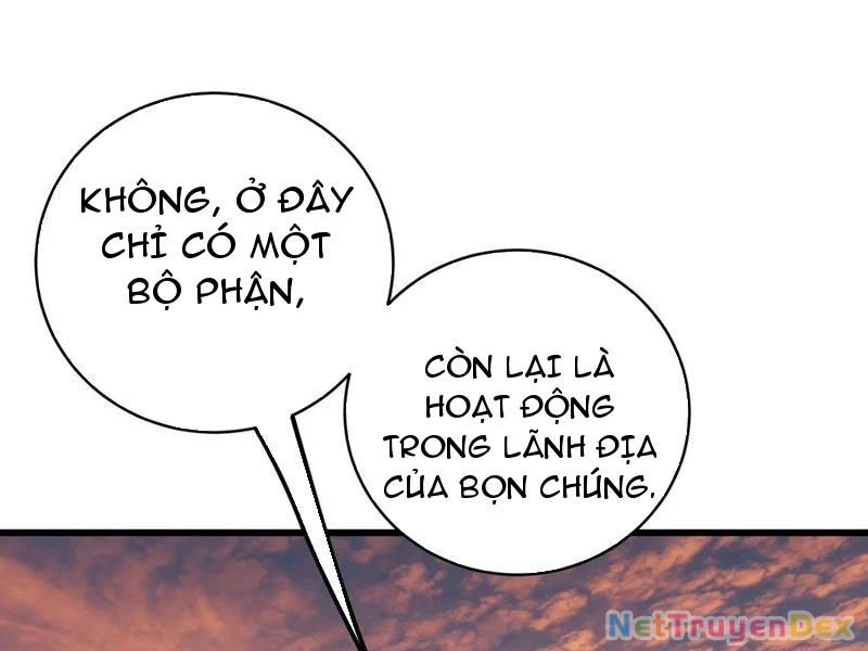 Đại Thừa Kỳ Mới Có Nghịch Tập Hệ Thống Chapter 46 - 112