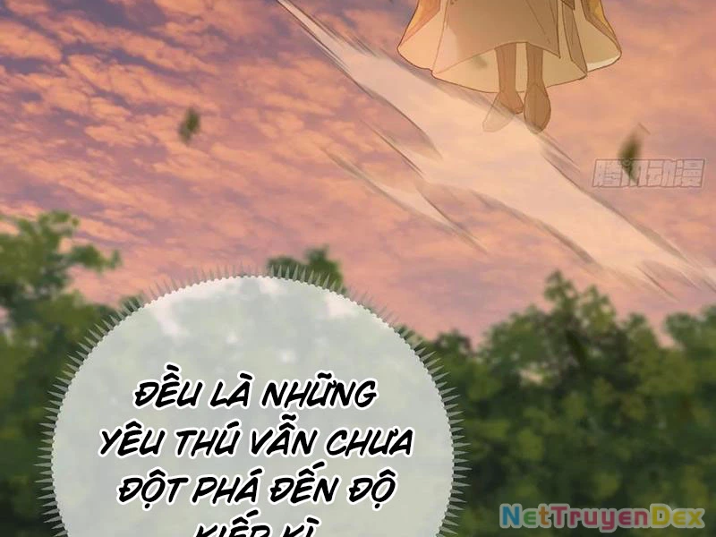 Đại Thừa Kỳ Mới Có Nghịch Tập Hệ Thống Chapter 46 - 139