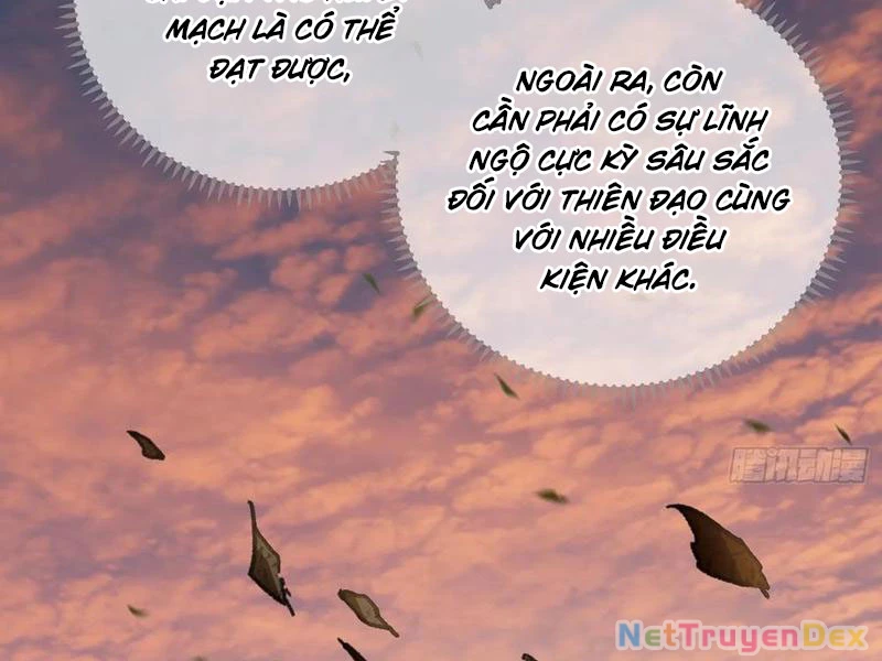 Đại Thừa Kỳ Mới Có Nghịch Tập Hệ Thống Chapter 46 - 141