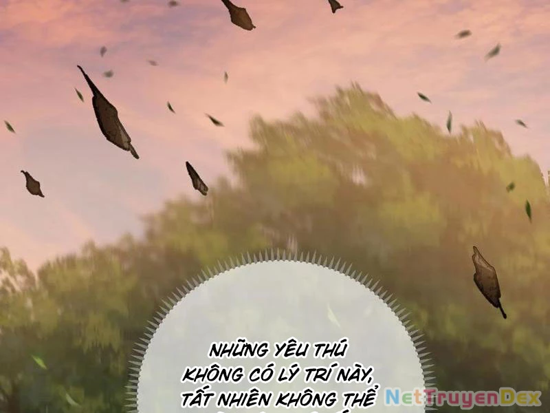 Đại Thừa Kỳ Mới Có Nghịch Tập Hệ Thống Chapter 46 - 142
