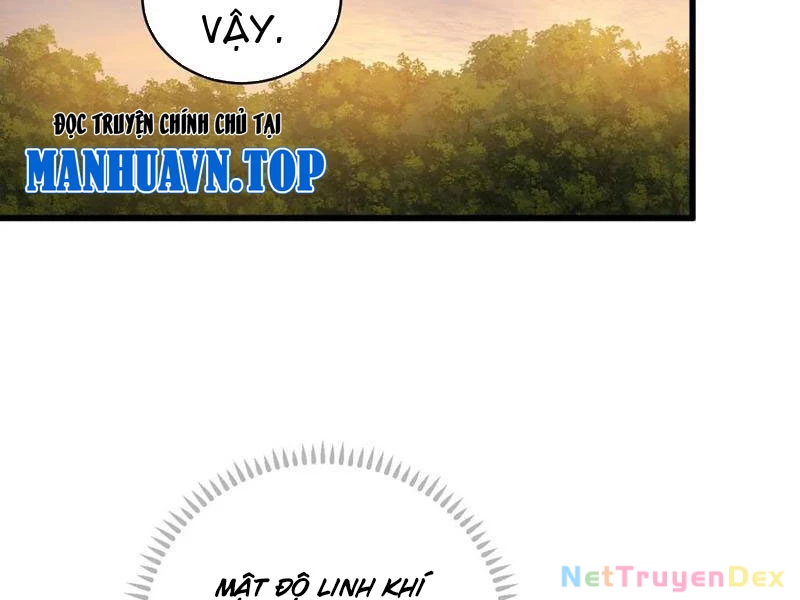 Đại Thừa Kỳ Mới Có Nghịch Tập Hệ Thống Chapter 46 - 145