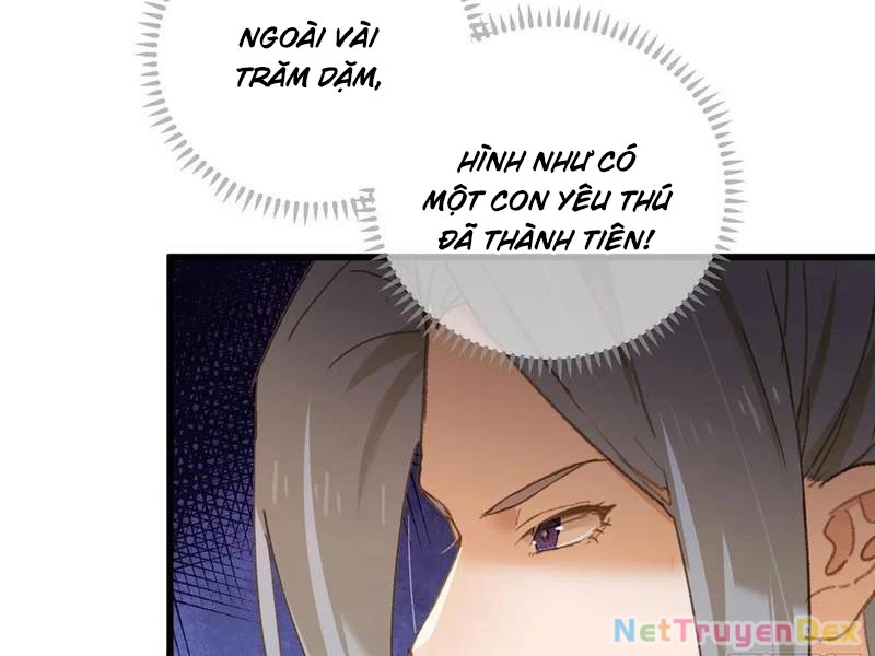 Đại Thừa Kỳ Mới Có Nghịch Tập Hệ Thống Chapter 46 - 152