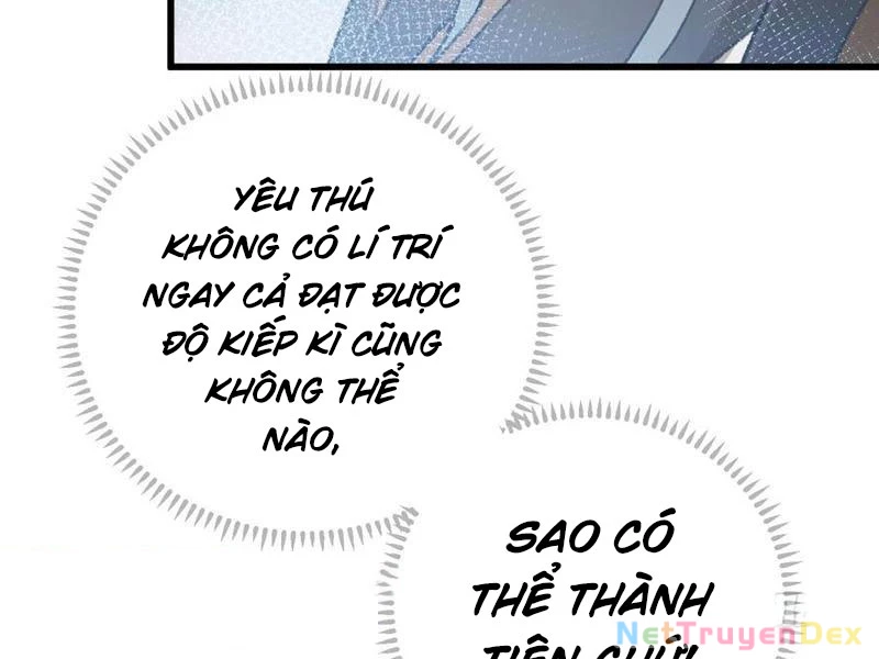 Đại Thừa Kỳ Mới Có Nghịch Tập Hệ Thống Chapter 46 - 154