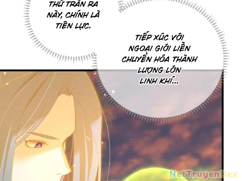 Đại Thừa Kỳ Mới Có Nghịch Tập Hệ Thống Chapter 47 - 82