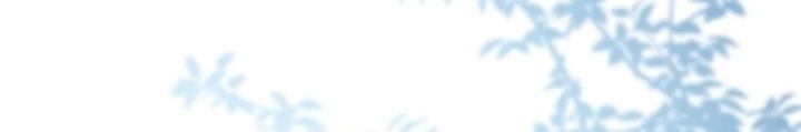 Con Trai Bá Tước Khốn Nạn Là Hoàng Đế Chapter 54 - 174