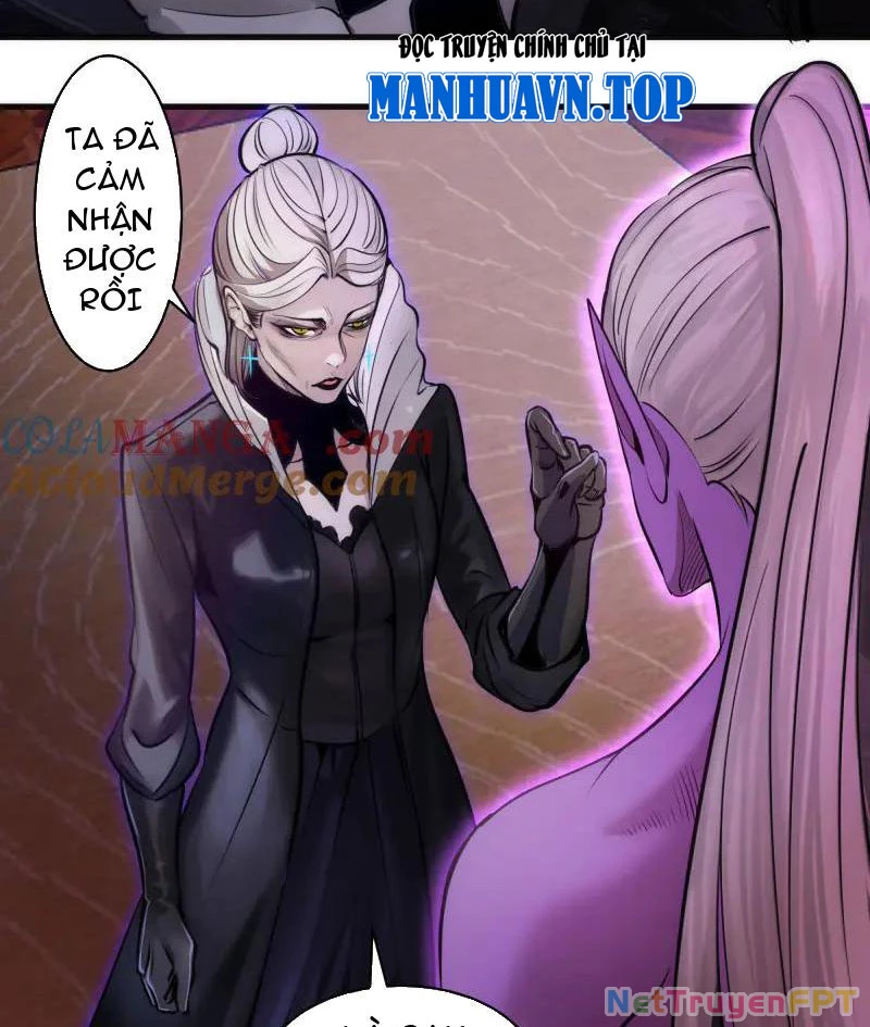 Cao Đẳng Linh Hồn Chapter 282 - 12