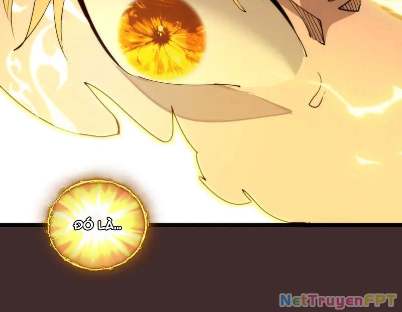 Cao Đẳng Linh Hồn Chapter 308 - 8