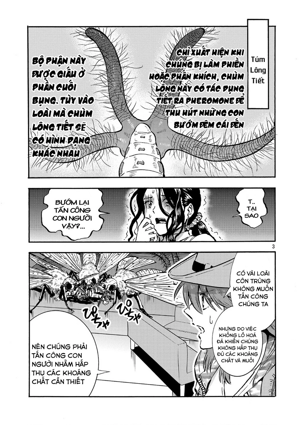 Siêu Đảo Côn Trùng Chapter 50.5 - 5