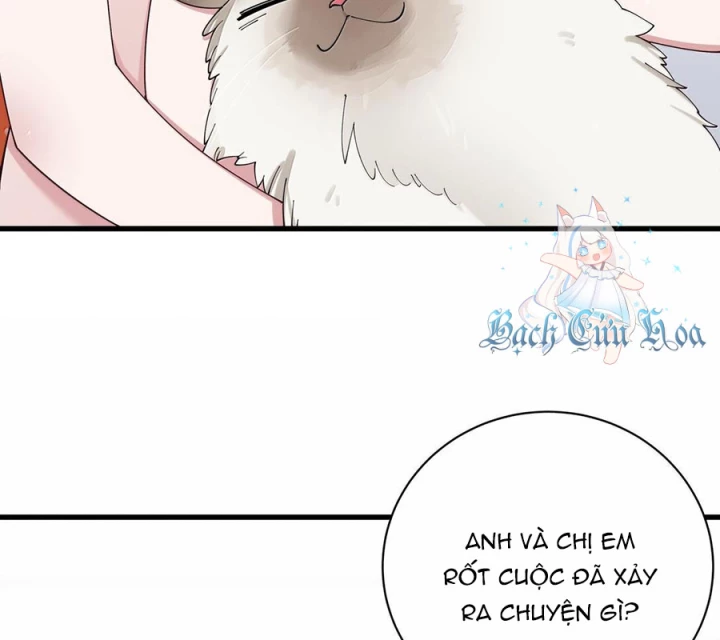 Làm Sao Để Chạy Trốn Dàn Hậu Cung Chapter 138 - 60