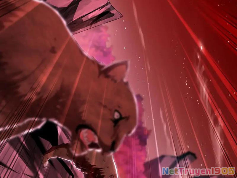 Ta Có Trăm Vạn Tốc Độ Đánh Chapter 59 - 95