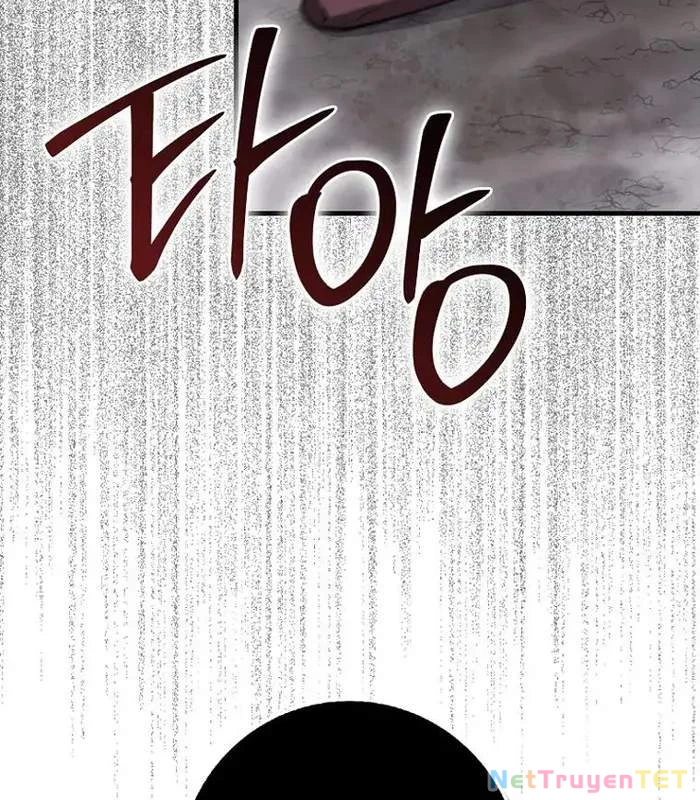 Thiên Tài Võ Thuật Hồi Quy Chapter 78 - 33