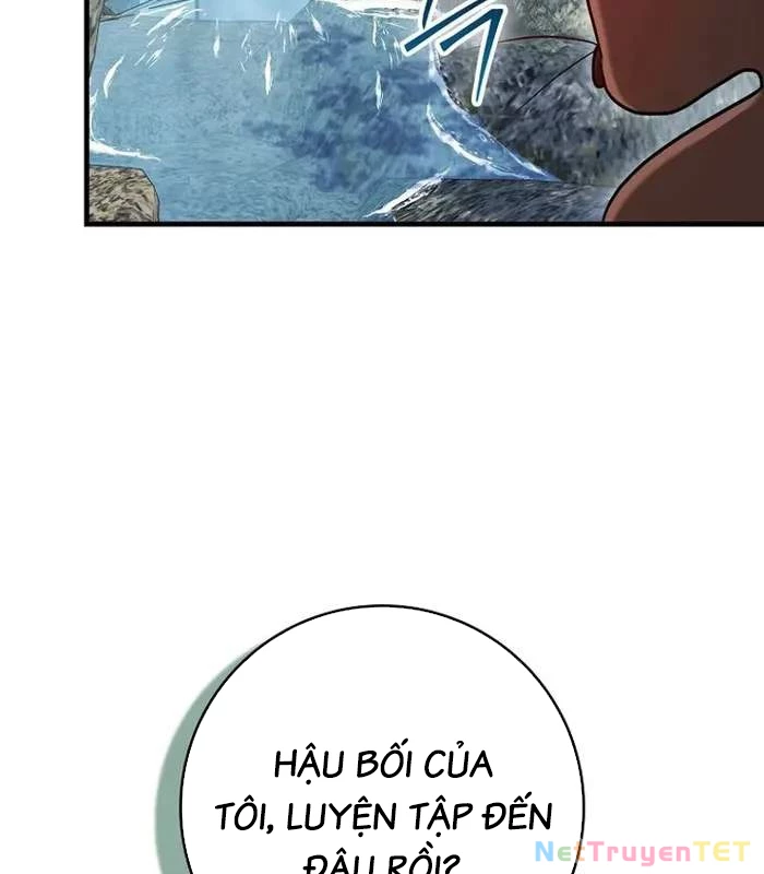 Thiên Tài Võ Thuật Hồi Quy Chapter 78 - 49