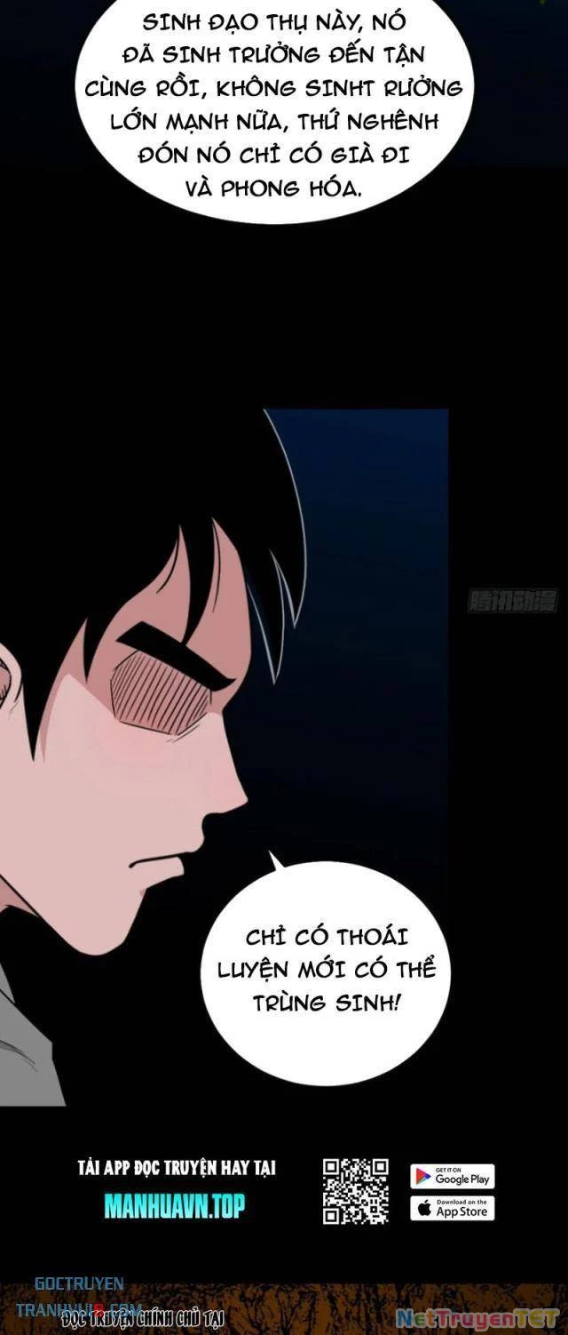 Đấu Yếm Thần Chapter 241 - 13