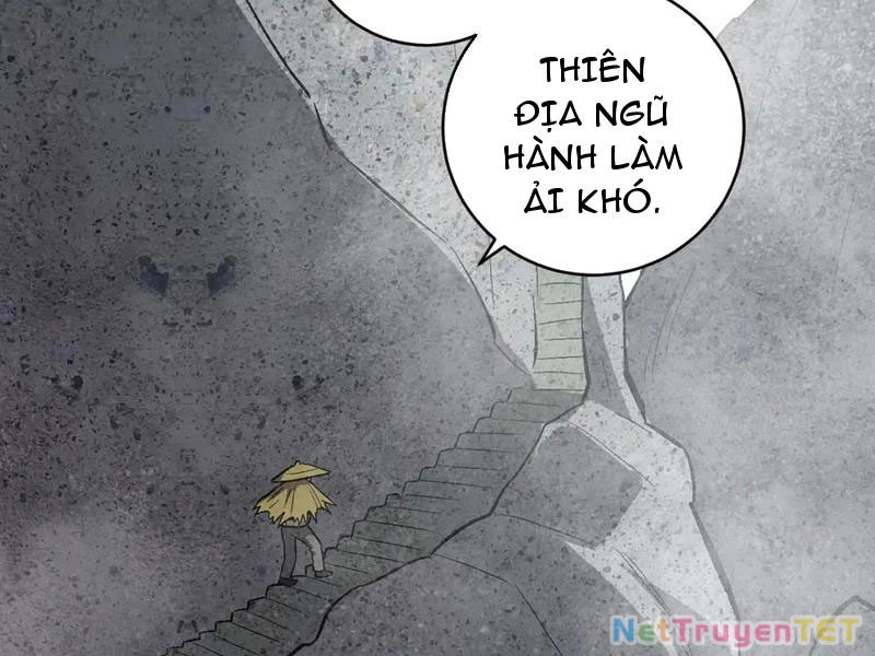 Mạt Nhật Thiên Hạ: Ta, Virus Quân Vương Chapter 49 - 20