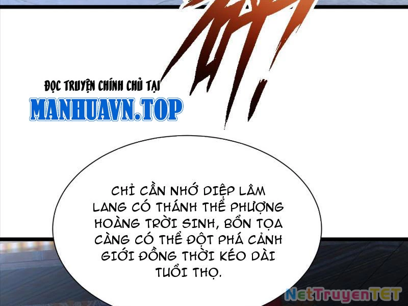 Hệ Thống Hèn Mọn Quỳ Xuống Cầu Xin Ta Vô Địch Chapter 32 - 11