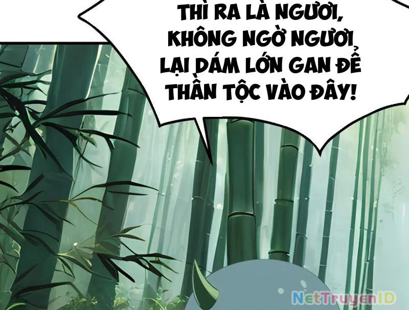 Phu Nhân Nhà Ta Đến Từ Địa Phủ Ngàn Năm Chapter 133 - 23
