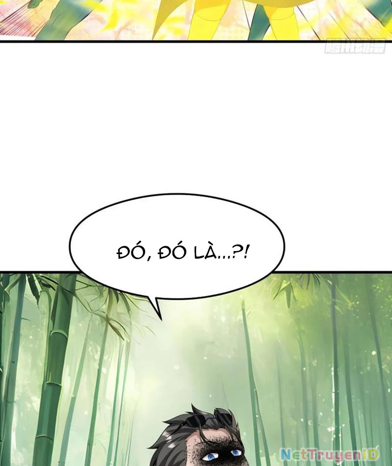Phu Nhân Nhà Ta Đến Từ Địa Phủ Ngàn Năm Chapter 133 - 62