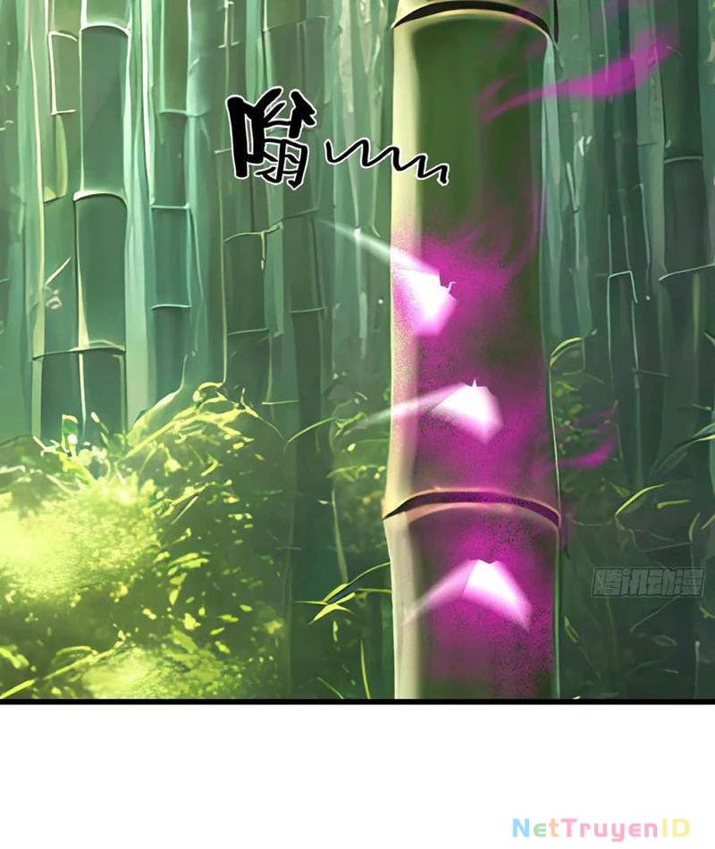Phu Nhân Nhà Ta Đến Từ Địa Phủ Ngàn Năm Chapter 134 - 12