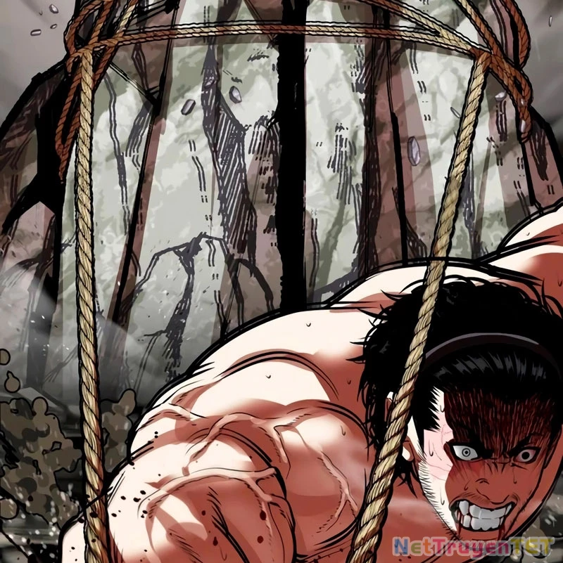 Hoán Đổi Diệu Kỳ Chapter 538 - 241
