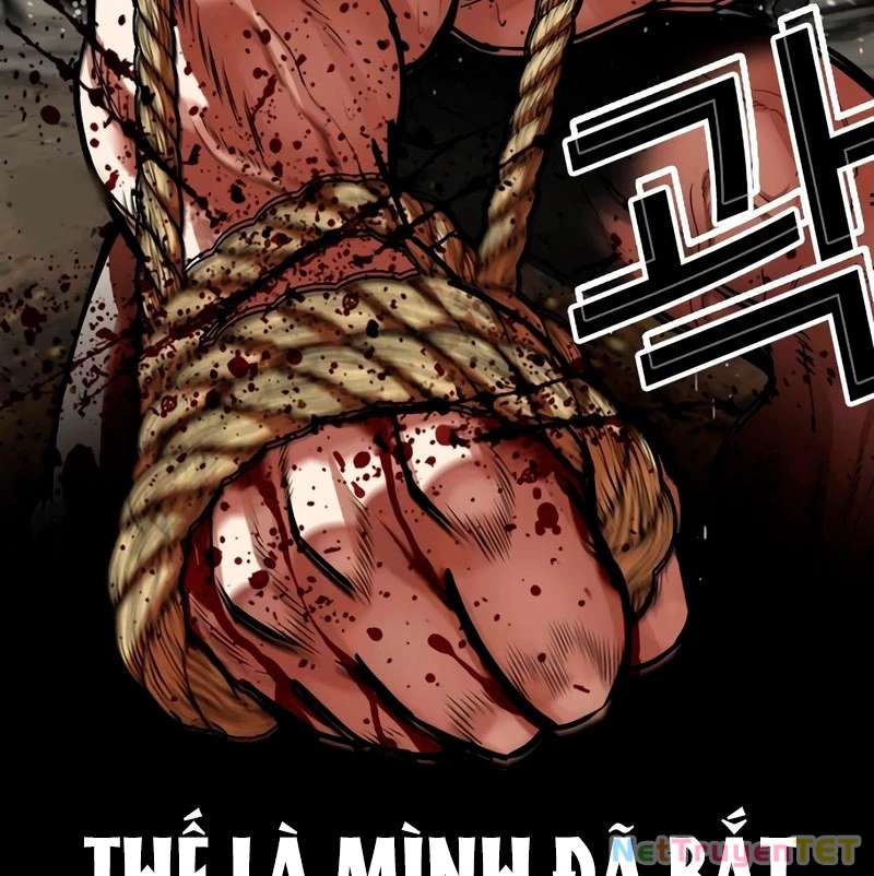 Hoán Đổi Diệu Kỳ Chapter 538 - 242
