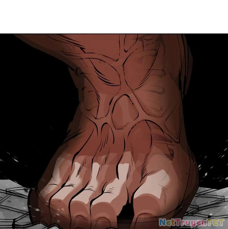 Hoán Đổi Diệu Kỳ Chapter 538 - 246