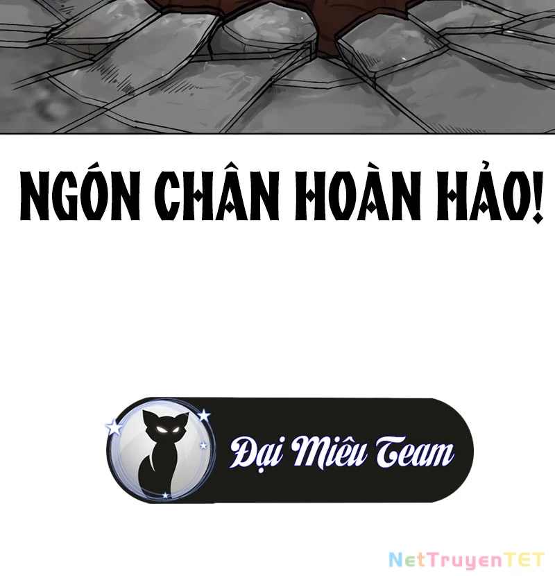 Hoán Đổi Diệu Kỳ Chapter 538 - 247