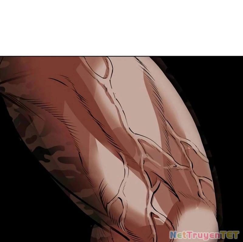 Hoán Đổi Diệu Kỳ Chapter 538 - 248