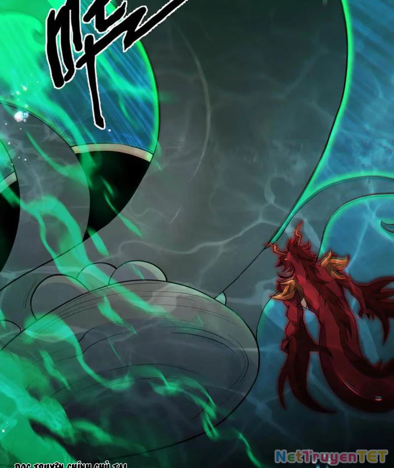 Linh Khí Khôi Phục: Từ Cá Chép Tiến Hóa Thành Thần Long Chapter 40 - 2