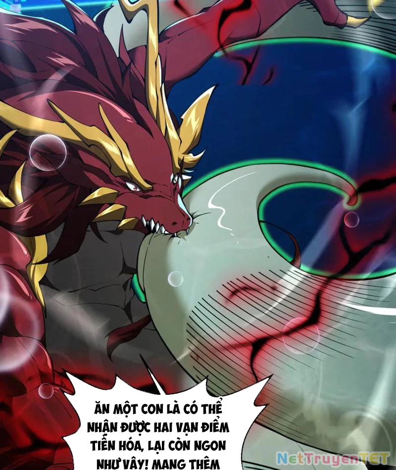 Linh Khí Khôi Phục: Từ Cá Chép Tiến Hóa Thành Thần Long Chapter 40 - 20