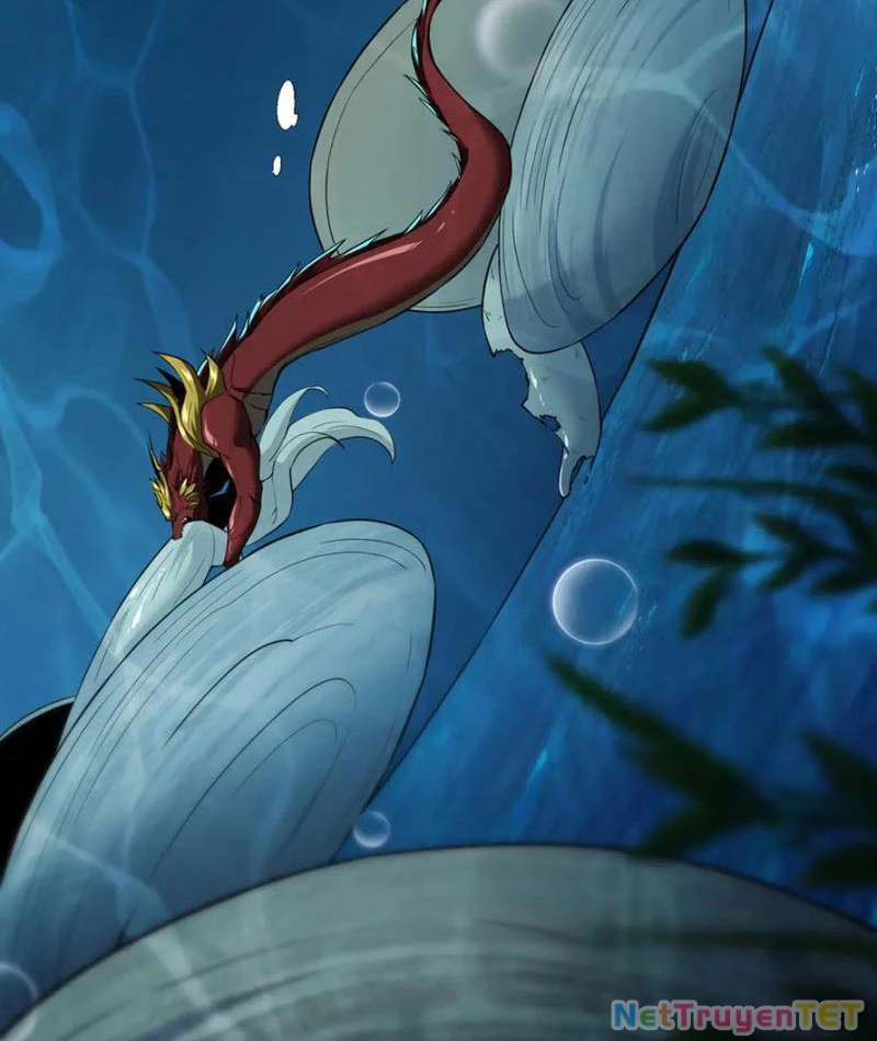 Linh Khí Khôi Phục: Từ Cá Chép Tiến Hóa Thành Thần Long Chapter 40 - 24