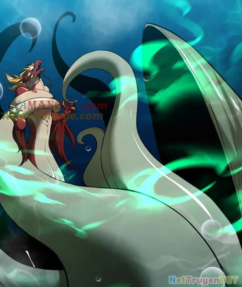 Linh Khí Khôi Phục: Từ Cá Chép Tiến Hóa Thành Thần Long Chapter 40 - 43