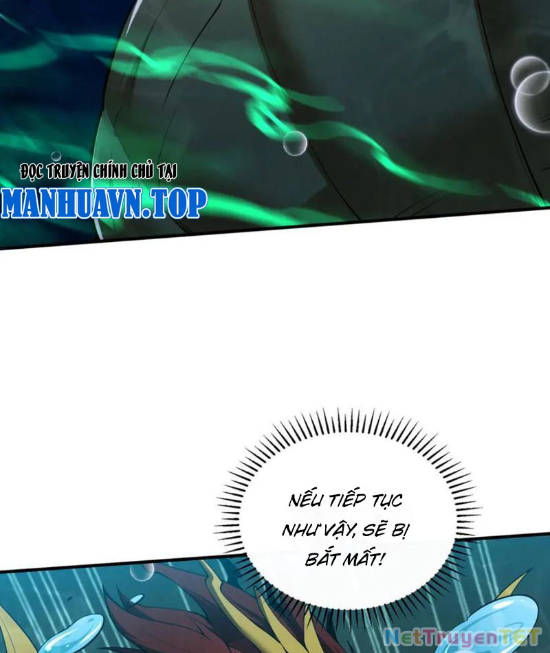 Linh Khí Khôi Phục: Từ Cá Chép Tiến Hóa Thành Thần Long Chapter 40 - 50