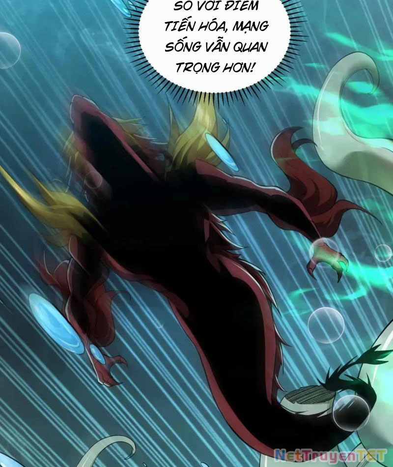 Linh Khí Khôi Phục: Từ Cá Chép Tiến Hóa Thành Thần Long Chapter 40 - 52