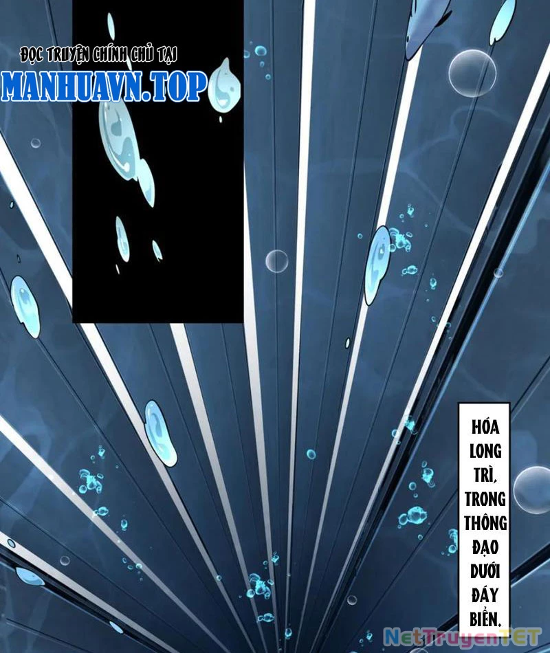 Linh Khí Khôi Phục: Từ Cá Chép Tiến Hóa Thành Thần Long Chapter 40 - 61