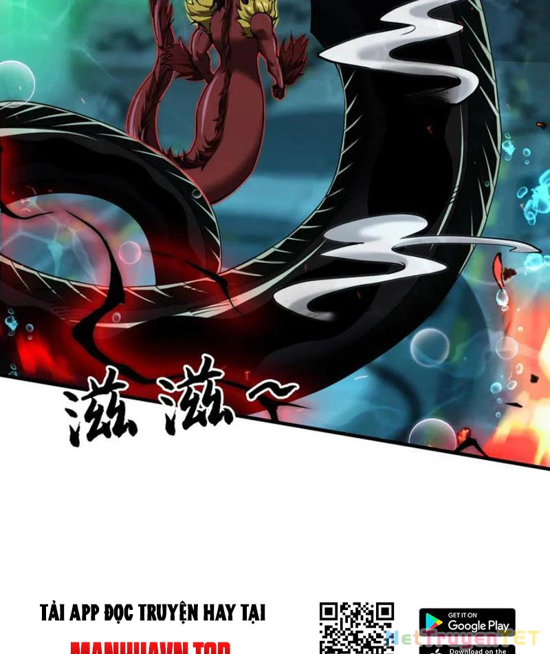 Linh Khí Khôi Phục: Từ Cá Chép Tiến Hóa Thành Thần Long Chapter 40 - 90