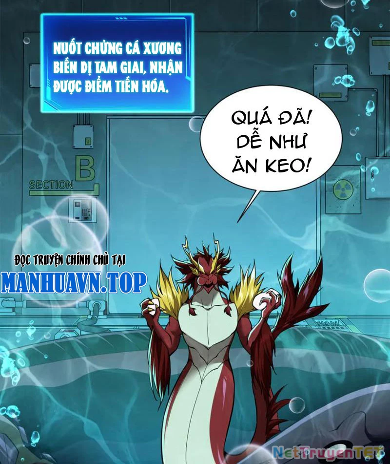 Linh Khí Khôi Phục: Từ Cá Chép Tiến Hóa Thành Thần Long Chapter 40 - 92