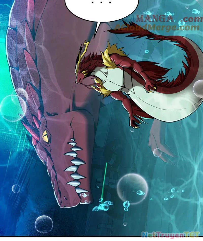 Linh Khí Khôi Phục: Từ Cá Chép Tiến Hóa Thành Thần Long Chapter 40 - 102