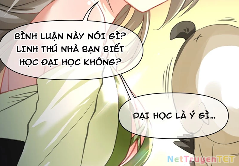 Xuyên không tới thế giới tu chân nhưng ta vẫn có mạng internet Chapter 12 - 36