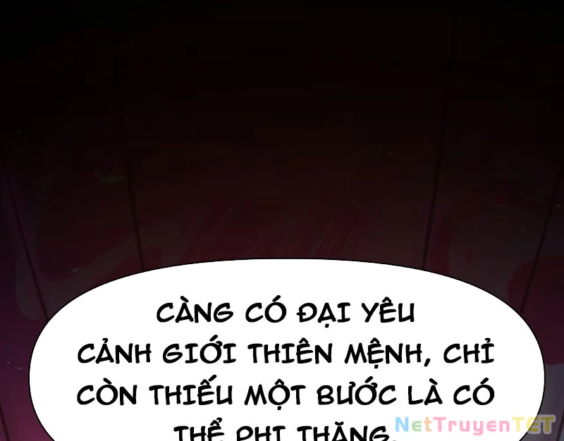 Xuyên không tới thế giới tu chân nhưng ta vẫn có mạng internet Chapter 16 - 6