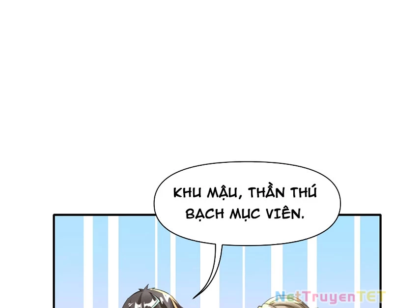 Xuyên không tới thế giới tu chân nhưng ta vẫn có mạng internet Chapter 16 - 13
