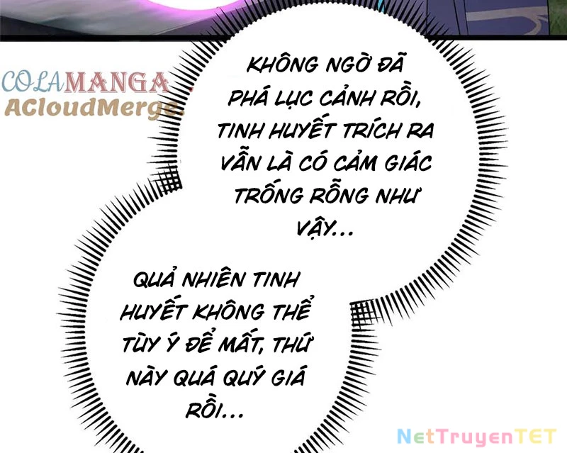 Chưởng Môn Khiêm Tốn Chút Chapter 462 - 85