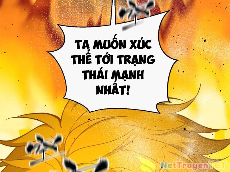 Toàn Cầu Cao Võ Chapter 294 - 66