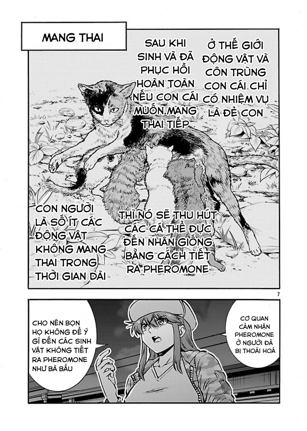 Siêu Đảo Côn Trùng Chapter 53 - 9